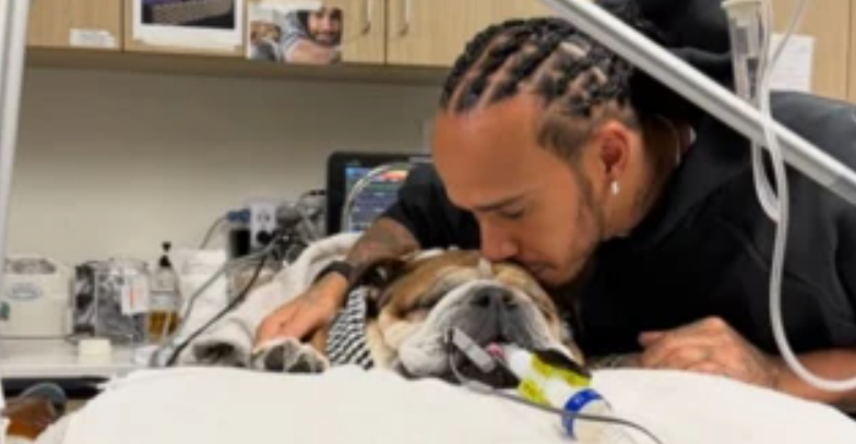 Formula 1 Icon Pulls Out From Tyre Test To Be With Dog In Hospital